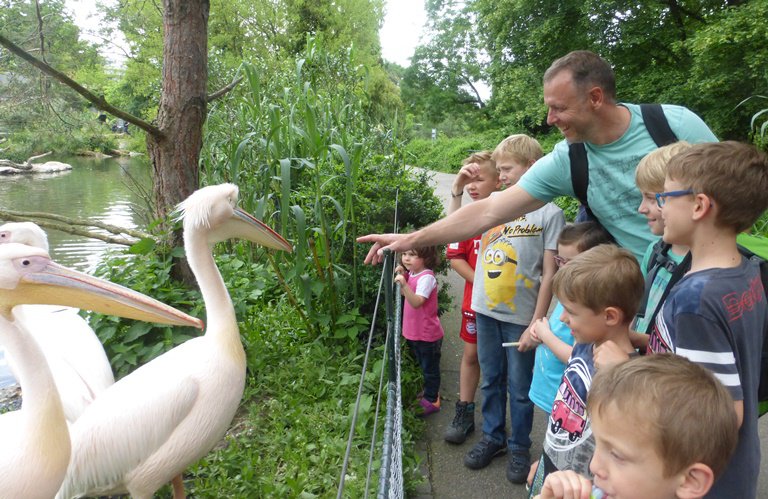 Narresume-Ausflug Basler Zoo